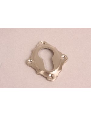 Profilzylinder Rosette Nickel Gebürstet 48mm
